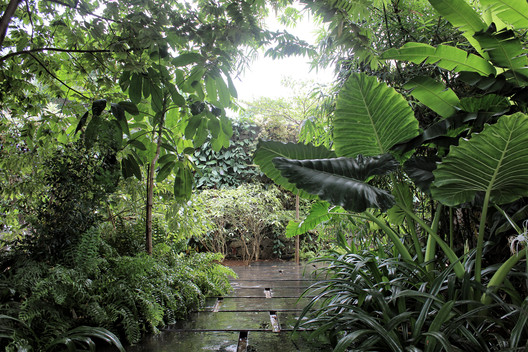The House with the Gabion  / Spasm Design - Forest, Garden