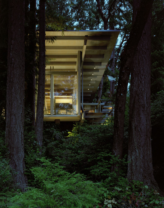 Cabin at Longbranch / Olson Kundig - Forest