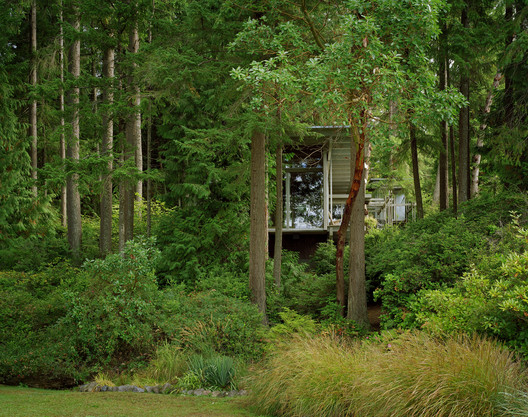 Cabin at Longbranch / Olson Kundig - Forest