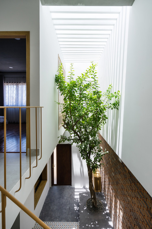 7x7 House / IZ Architects - Windows