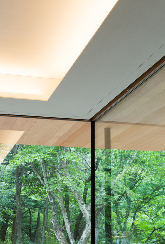 Yokouchi Residence / Kidosaki Architects Studio - Lighting, Windows, Forest, Beam