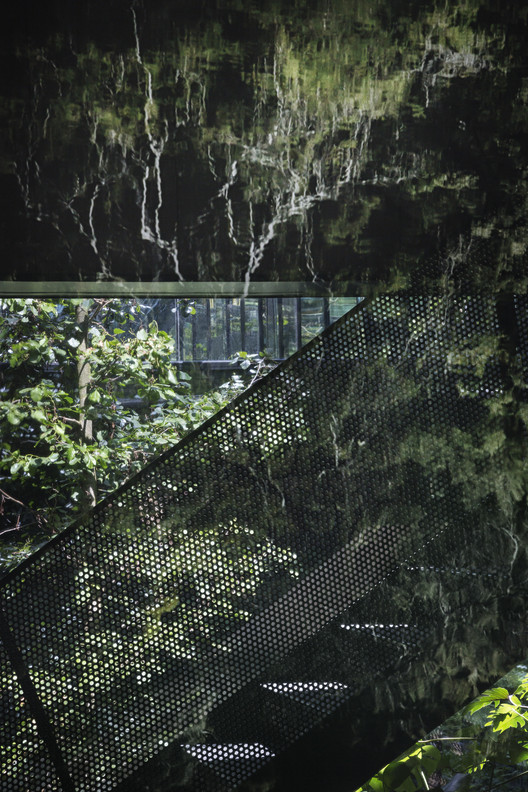 Peter's House  / Studio David Thulstrup - Fence, Forest