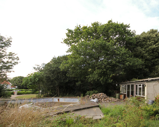 The Glade / DLM Architects - Windows, Garden, Forest