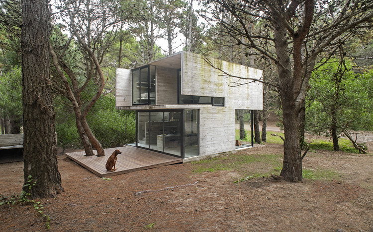H3 House / Luciano Kruk - Windows, Forest