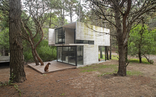 H3 House                                                                                                                                   / Luciano Kruk - Windows, Forest