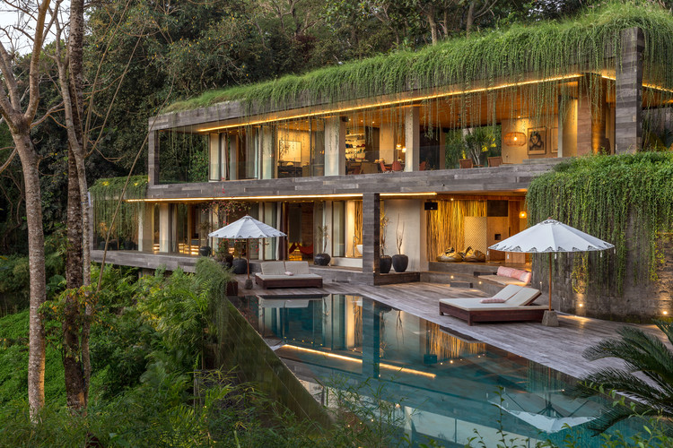 Chameleon Villa / Word of Mouth Architecture - Windows, Garden, Forest