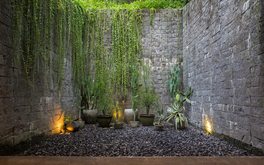 Chameleon Villa / Word of Mouth Architecture - Garden, Forest