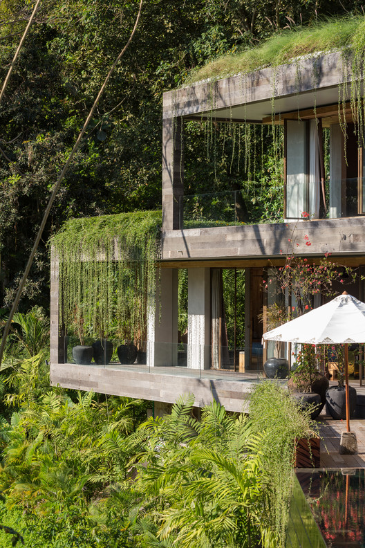 Chameleon Villa / Word of Mouth Architecture - Chair, Garden, Forest