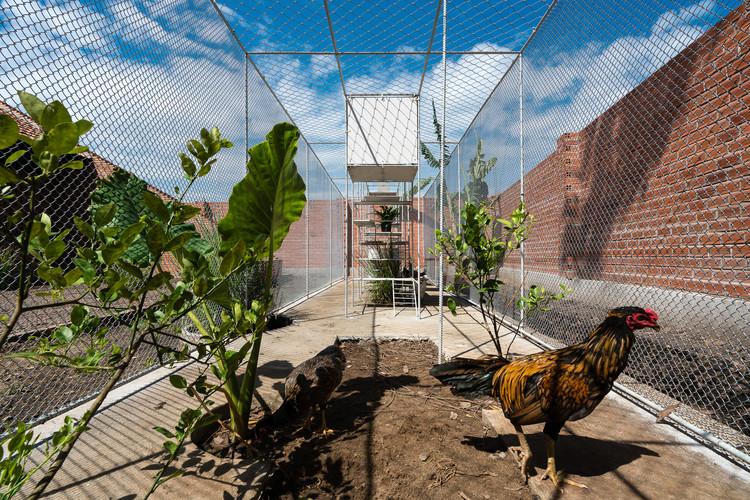 Chicken House / Tropical Space - Image 2 of 30