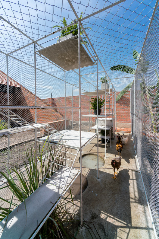 Chicken House / Tropical Space - Garden