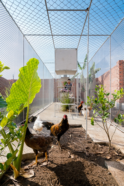Chicken House / Tropical Space - Garden