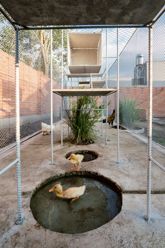 Chicken House / Tropical Space - Garden, Courtyard