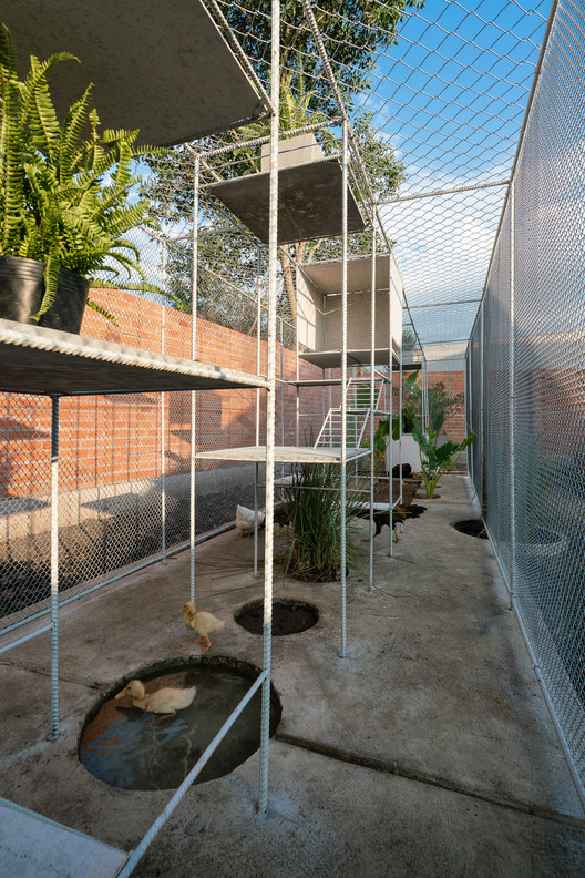 Chicken House / Tropical Space - Image 21 of 30