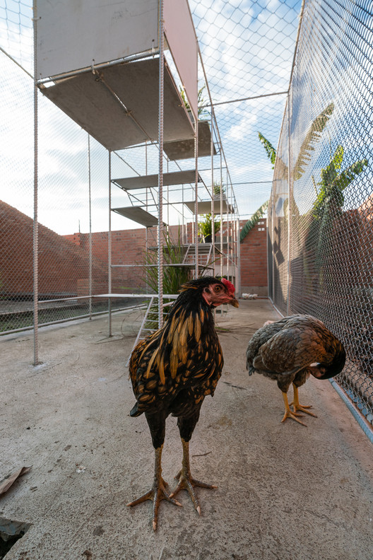 Chicken House / Tropical Space - Image 22 of 30