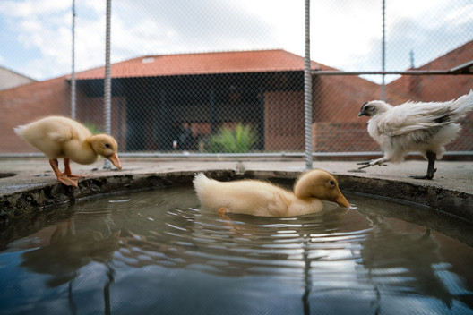 Chicken House / Tropical Space - Waterfront