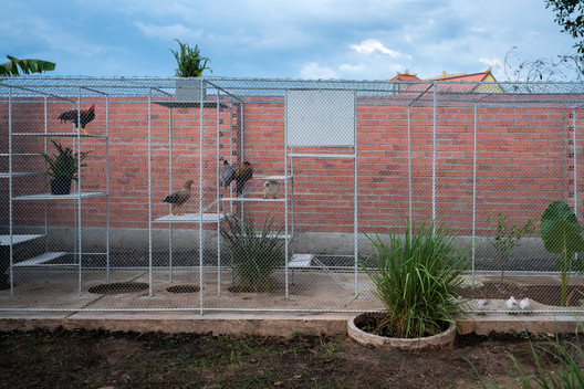 Chicken House / Tropical Space - Brick, Fence, Garden