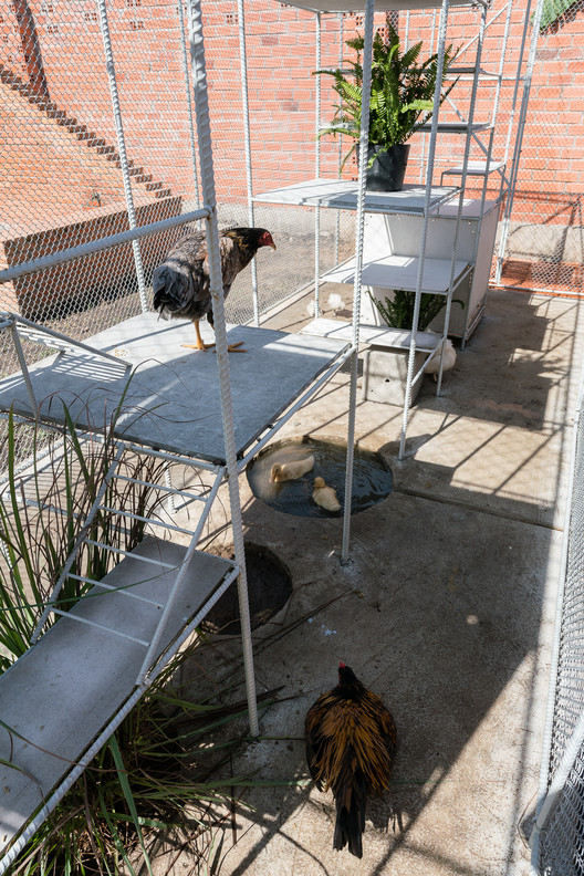 Chicken House / Tropical Space - Chair