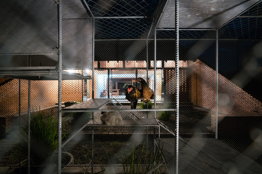 Chicken House / Tropical Space - Image 16 of 30