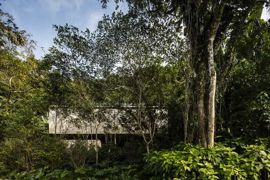 Jungle  House  / studio mk27 - Image 7 of 62