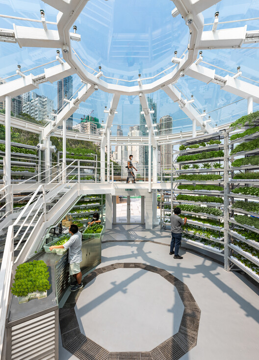 Future-Focused Food Production: Integrating High-Tech Agriculture into Cities - Featured Image