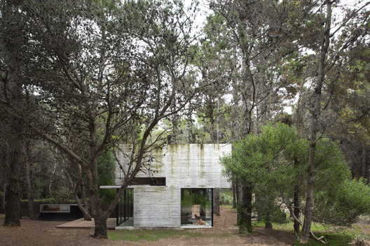 H3 House                                                                                                                                   / Luciano Kruk - Forest
