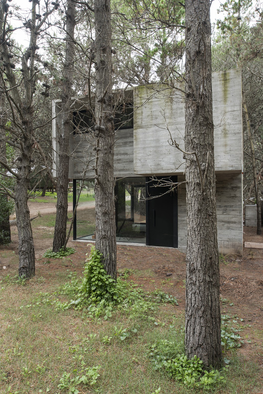 H3 House                                                                                                                                   / Luciano Kruk - Forest