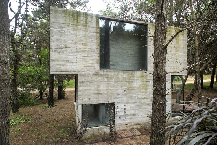 H3 House / Luciano Kruk - Windows, Forest