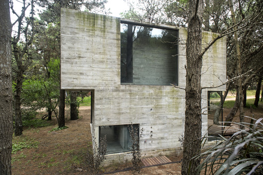 H3 House                                                                                                                                   / Luciano Kruk - Windows, Forest