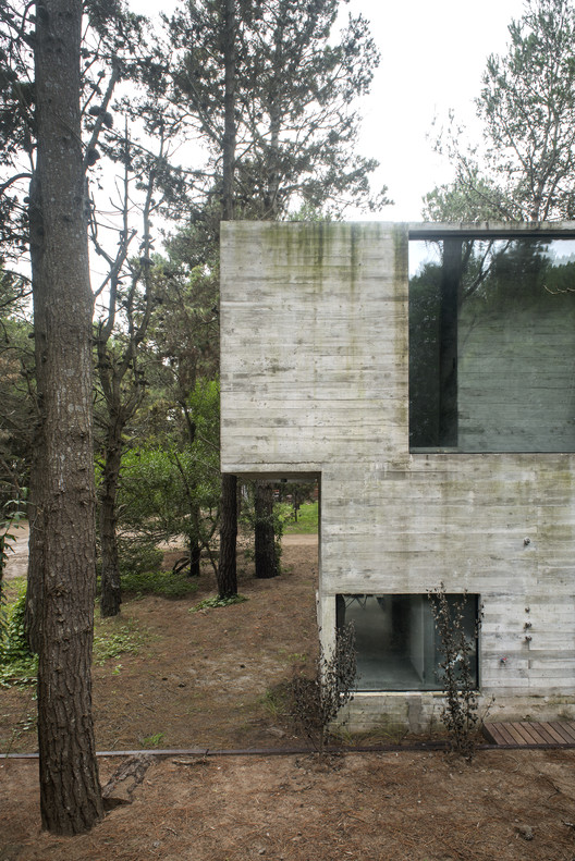 H3 House / Luciano Kruk - Windows, Forest