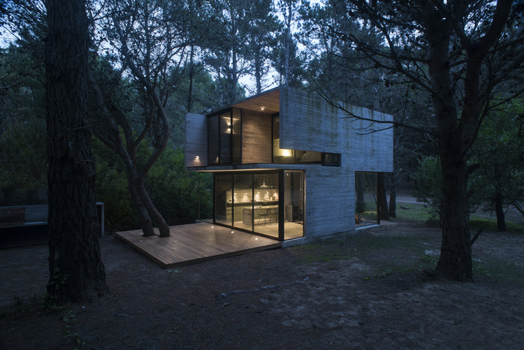 H3 House / Luciano Kruk - Windows, Forest