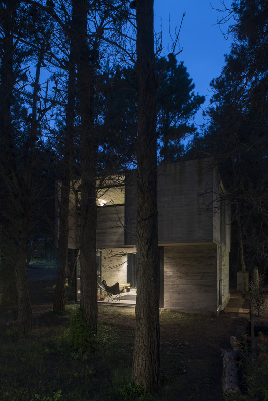 H3 House                                                                                                                                   / Luciano Kruk - Forest
