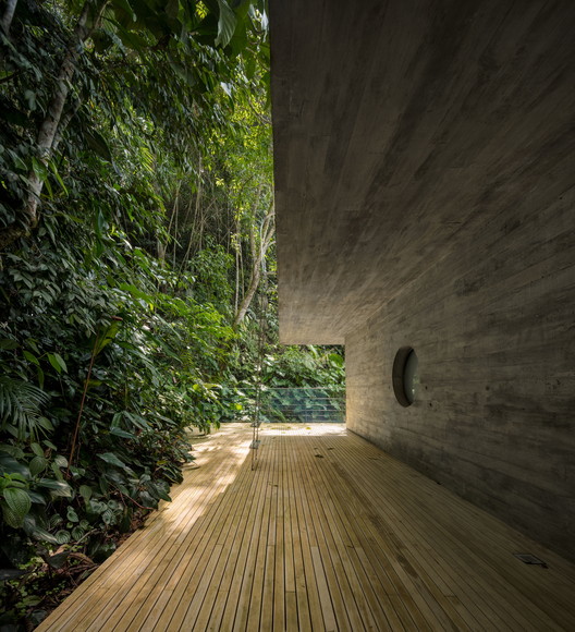 Jungle  House  / studio mk27 - Image 24 of 62