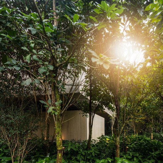 Jungle  House  / studio mk27 - Image 17 of 62