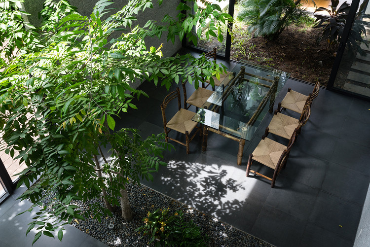Binh House / VTN Architects - Garden, Courtyard