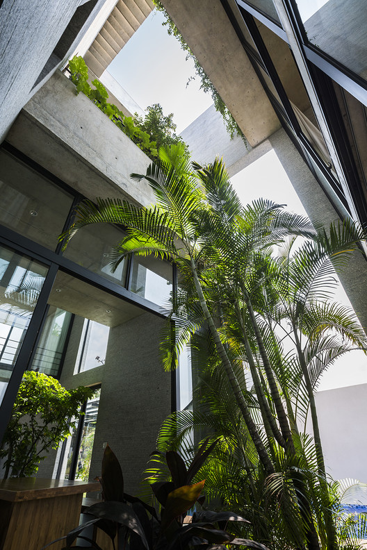 Binh House / VTN Architects - Windows