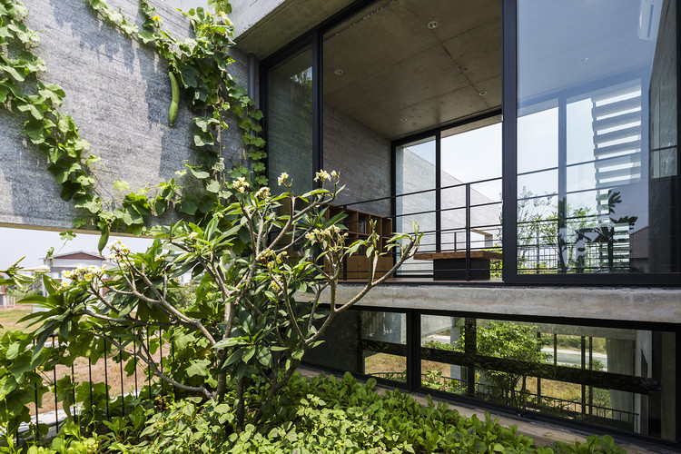 Binh House / VTN Architects - Windows, Facade, Garden