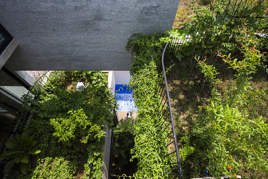 Binh House / VTN Architects - Garden