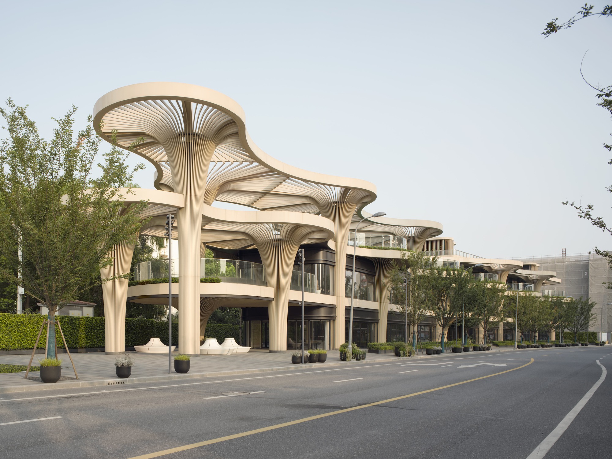 Solar Trees Marketplace / Koichi Takada Architects
