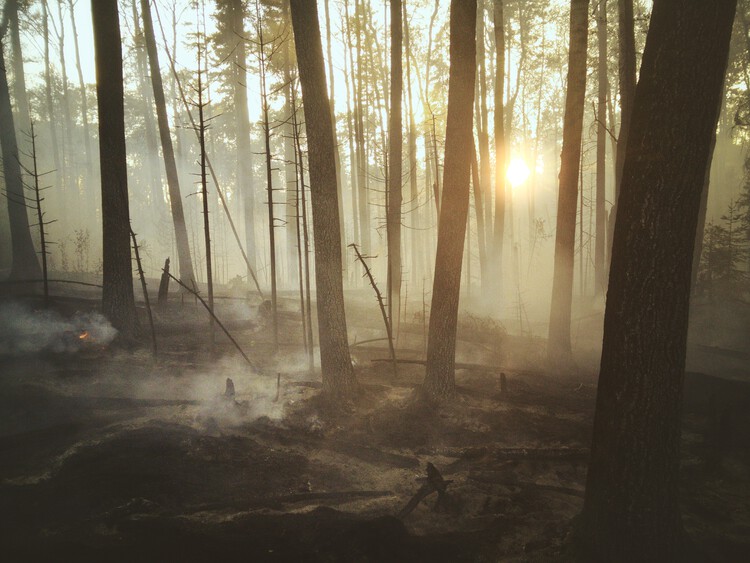 Embodied Carbon in Real Estate: The Hidden Contributor to Climate Change - Featured Image